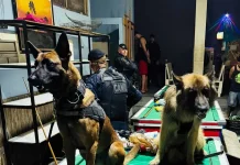 GCM prende dois traficantes, apreende drogas e máquinas caça-níqueis em bar no Macedo