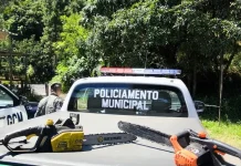 GCM apreende duas motosserras em área de mata no Jardim Paraíso