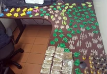 GCM apreende 1,8 kg de entorpecentes no Jardim Cristian Alice