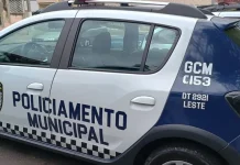 GCM prende homem por violência doméstica no Pimentas