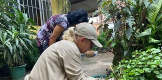 CCZ percorre todas as regiões de Guarulhos em cinco dias com ações de combate à dengue