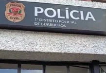 GCM prende homem por tentativa de furto de veículo no Macedo