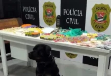 GCM de Guarulhos prende quatro traficantes e apreende 5,9 kg de drogas