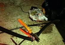GCM de Guarulhos prende homem por furto de fios no Jardim City