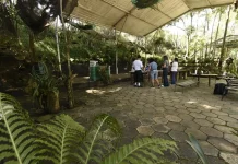 Prefeitura oferece atividades gratuitas para as crianças nas férias