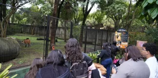 Zoológico Municipal antecipa fechamento no domingo em razão do jogo do Brasil