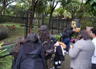 Zoológico Municipal antecipa fechamento no domingo em razão do jogo do Brasil