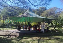 Bosque Maia recebe Oficina de Dança Circular na manhã do próximo domingo
