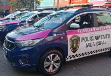 GCM prende homem por violência doméstica no Picanço